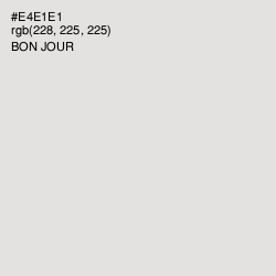 #E4E1E1 - Bon Jour Color Image